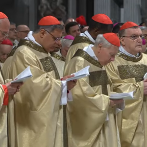 Kardinal Bozanić sudjelovao na misnom slavlju zaključenja Jubilejske godine